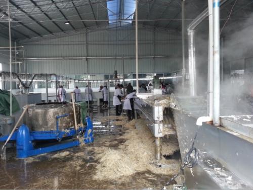 ���׈��O����������׈����w�O����ղ��