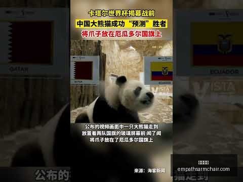 達尼洛續約,尤文,後防核心地,开云全站官网,开云全站App,开云全站代理,开云全站入口,开云全站平台